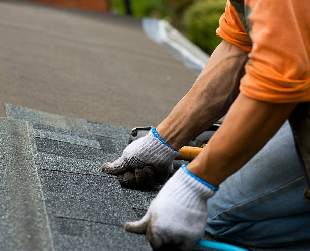 Best Roof Gutter Cleaning  in Brookhaven, WV